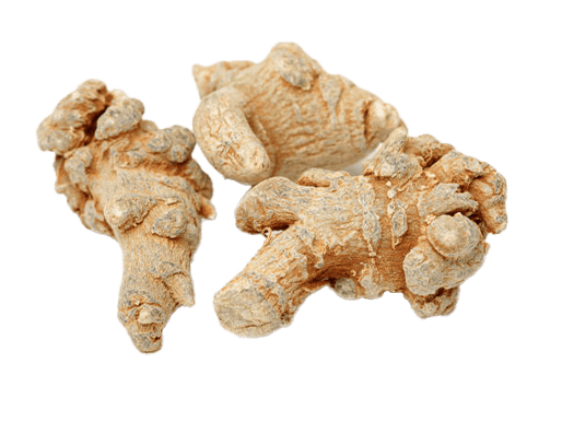 Arterio-9